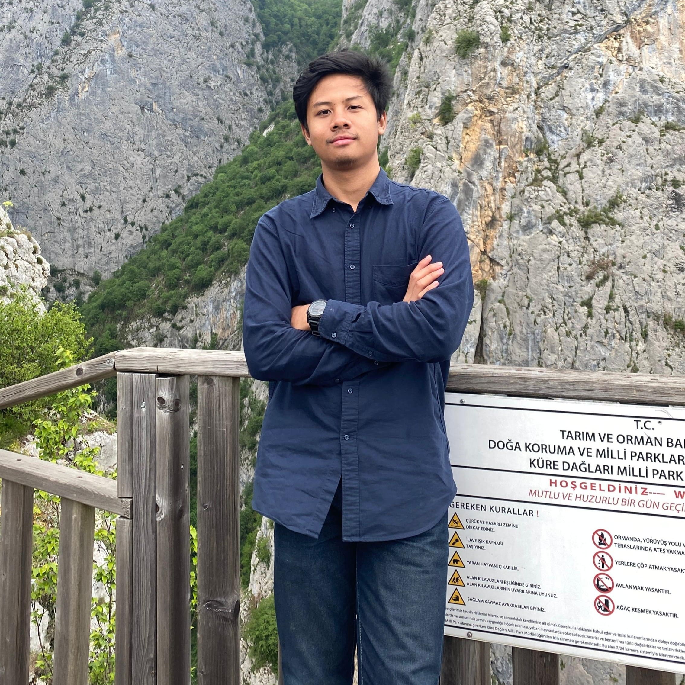 Developer